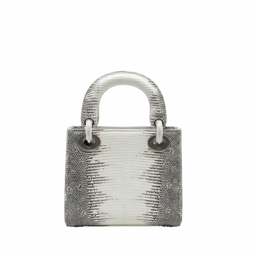 Dior Ombre Himalayan Lizard Small Shoulder Bag - White