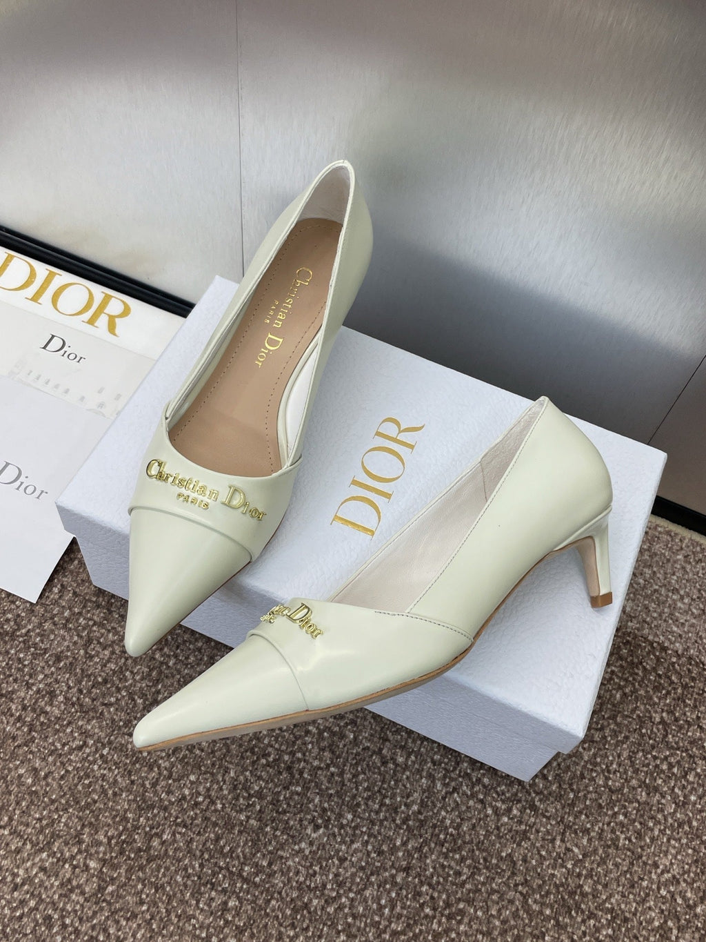Dior My Dd 25S High Heel 55mm in White Calfskin Gold Logo