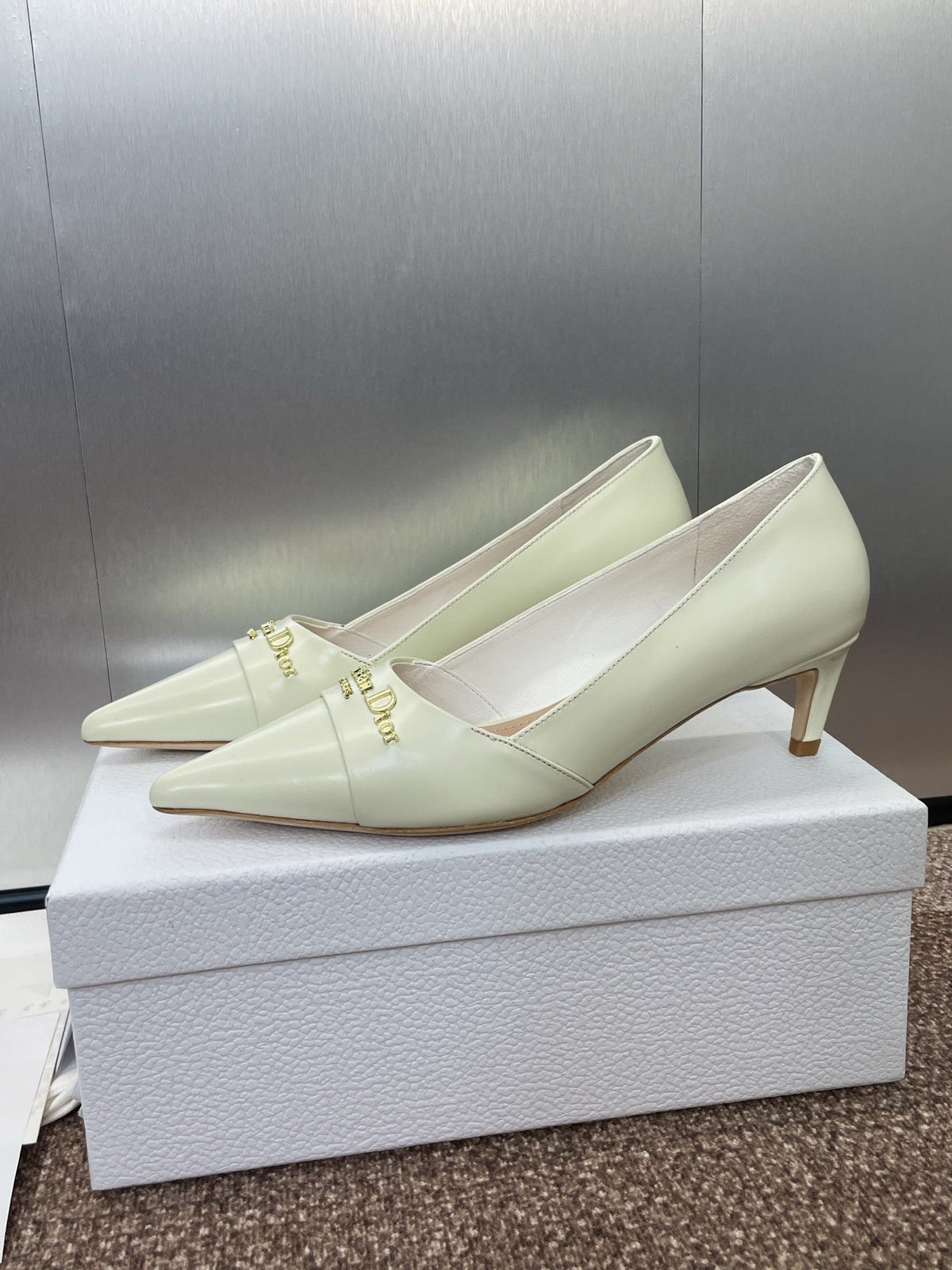 Dior My Dd 25S High Heel 55mm in White Calfskin Gold Logo